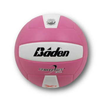 Baden VX5E Perfection 15-0 NFHS NBCFLeather Game Volleyball | Pro